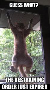 Click image for larger version

Name:	funny-animals-dumpaday-1.jpg
Views:	259
Size:	320.9 KB
ID:	31723