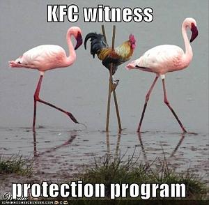 Click image for larger version

Name:	funny-animals-dumpaday-3.jpg
Views:	285
Size:	53.2 KB
ID:	31724
