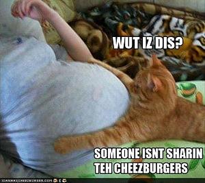 Click image for larger version

Name:	funny-animals-dumpaday-5.jpg
Views:	296
Size:	53.0 KB
ID:	31725