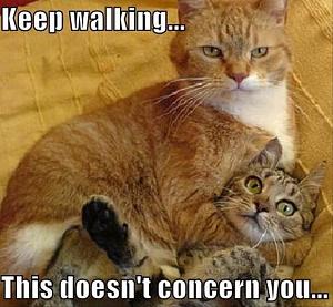 Click image for larger version

Name:	funny-animals-dumpaday-26.jpg
Views:	306
Size:	56.4 KB
ID:	31726